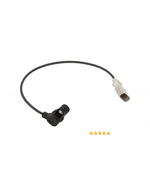 Sensor de Ciguenal DFSK 1.3L